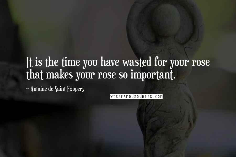 Antoine De Saint-Exupery Quotes: It is the time you have wasted for your rose that makes your rose so important.