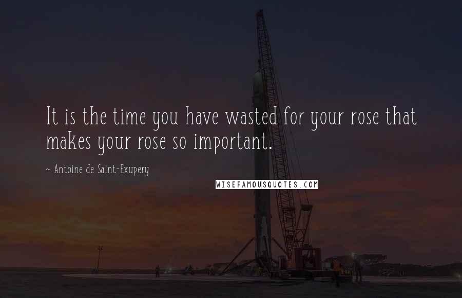 Antoine De Saint-Exupery Quotes: It is the time you have wasted for your rose that makes your rose so important.