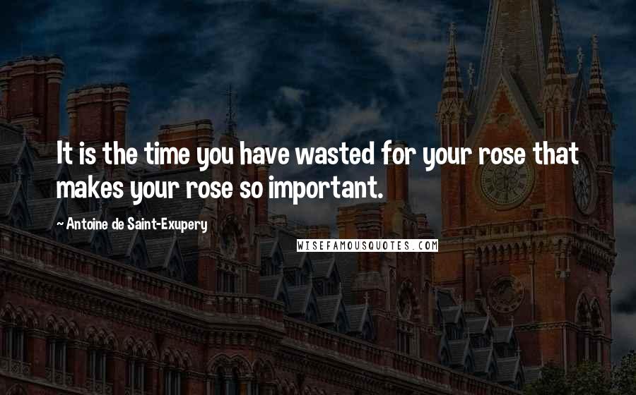 Antoine De Saint-Exupery Quotes: It is the time you have wasted for your rose that makes your rose so important.