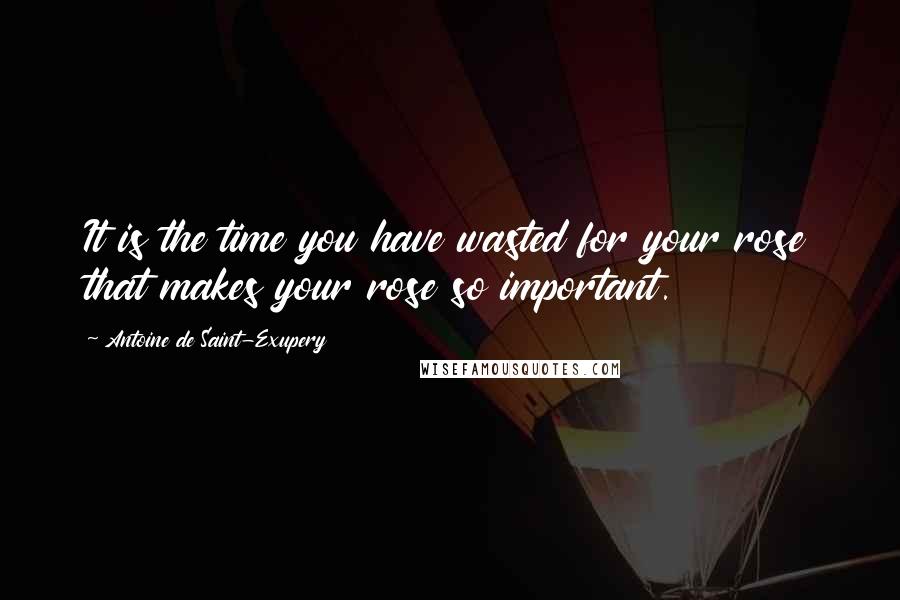 Antoine De Saint-Exupery Quotes: It is the time you have wasted for your rose that makes your rose so important.