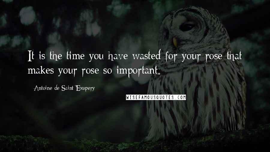 Antoine De Saint-Exupery Quotes: It is the time you have wasted for your rose that makes your rose so important.