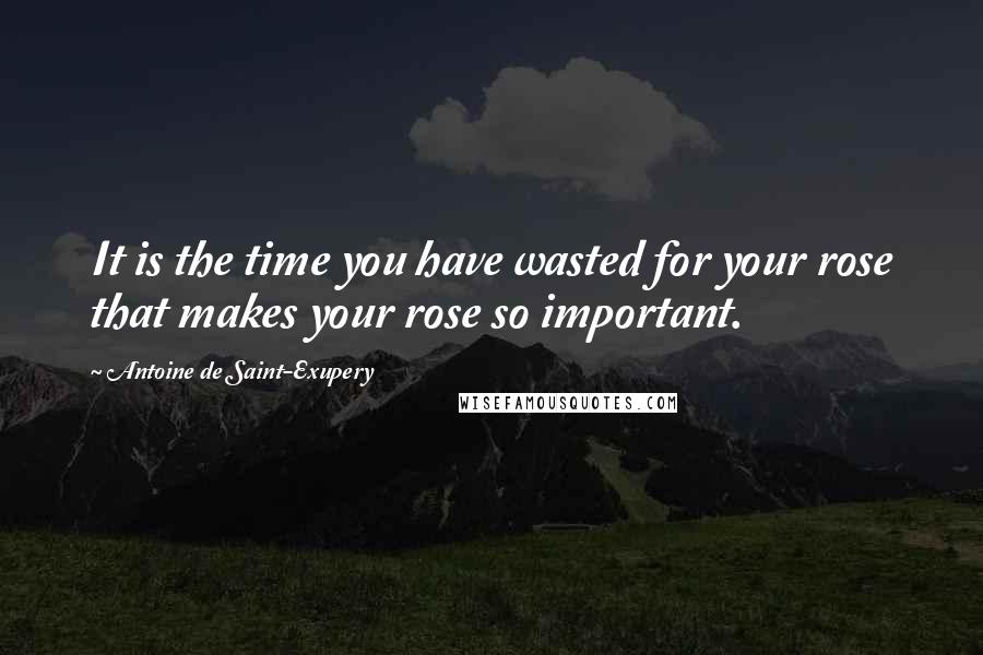 Antoine De Saint-Exupery Quotes: It is the time you have wasted for your rose that makes your rose so important.