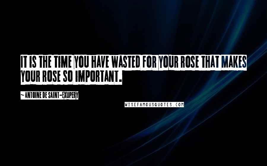 Antoine De Saint-Exupery Quotes: It is the time you have wasted for your rose that makes your rose so important.