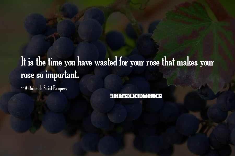 Antoine De Saint-Exupery Quotes: It is the time you have wasted for your rose that makes your rose so important.