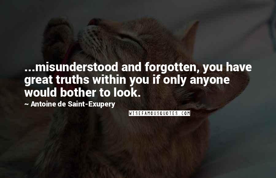 Antoine De Saint-Exupery Quotes: ...misunderstood and forgotten, you have great truths within you if only anyone would bother to look.