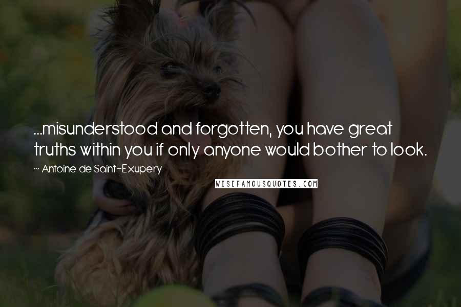 Antoine De Saint-Exupery Quotes: ...misunderstood and forgotten, you have great truths within you if only anyone would bother to look.