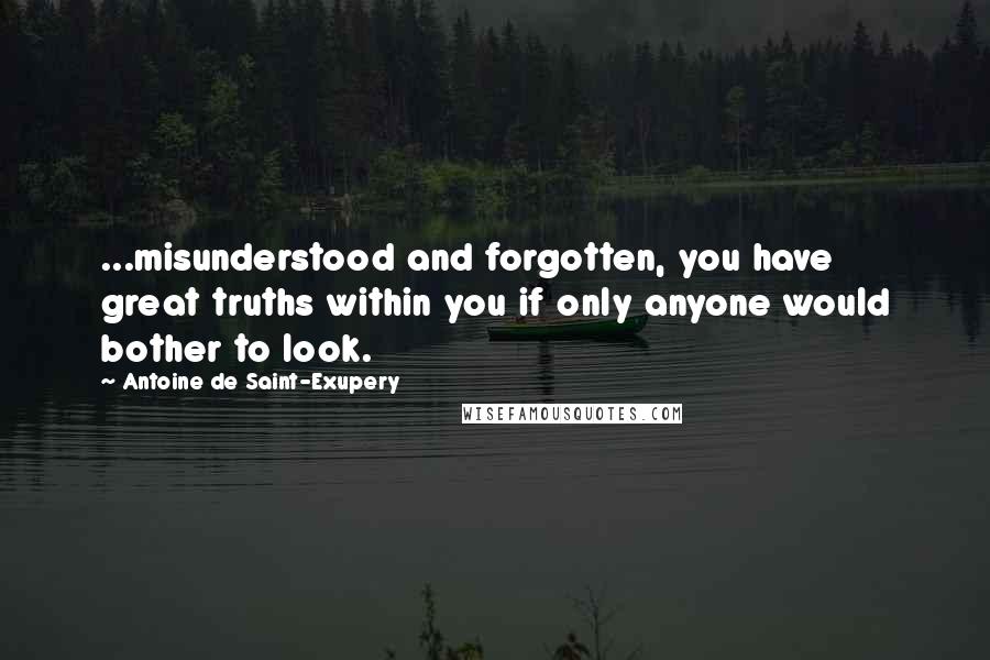 Antoine De Saint-Exupery Quotes: ...misunderstood and forgotten, you have great truths within you if only anyone would bother to look.