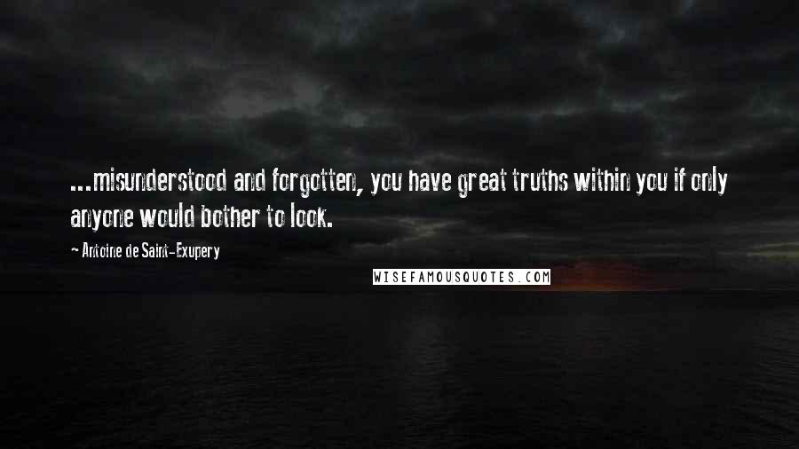 Antoine De Saint-Exupery Quotes: ...misunderstood and forgotten, you have great truths within you if only anyone would bother to look.