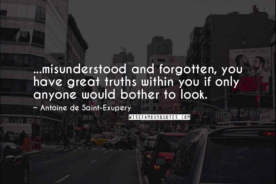 Antoine De Saint-Exupery Quotes: ...misunderstood and forgotten, you have great truths within you if only anyone would bother to look.