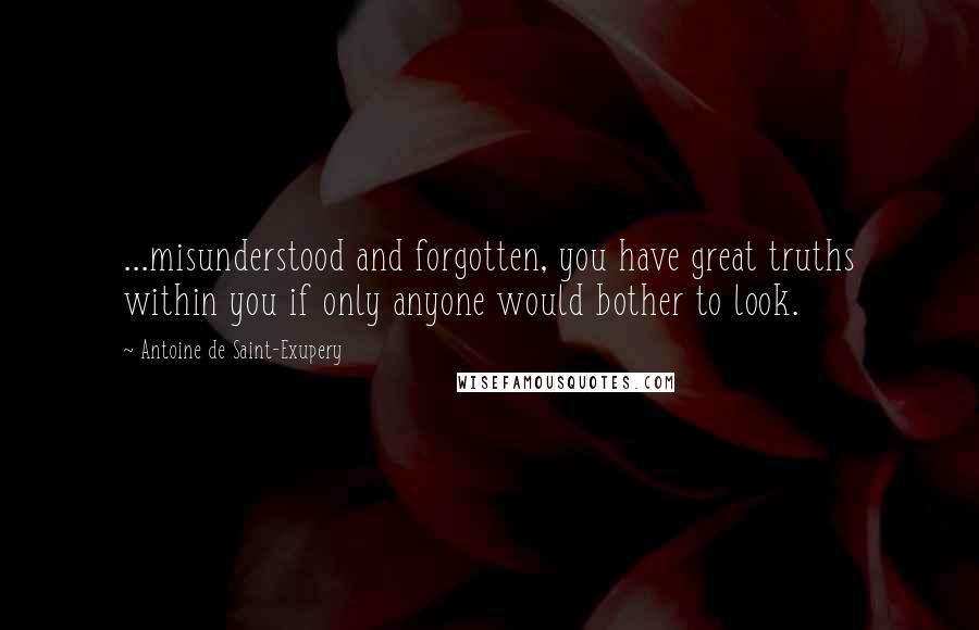 Antoine De Saint-Exupery Quotes: ...misunderstood and forgotten, you have great truths within you if only anyone would bother to look.