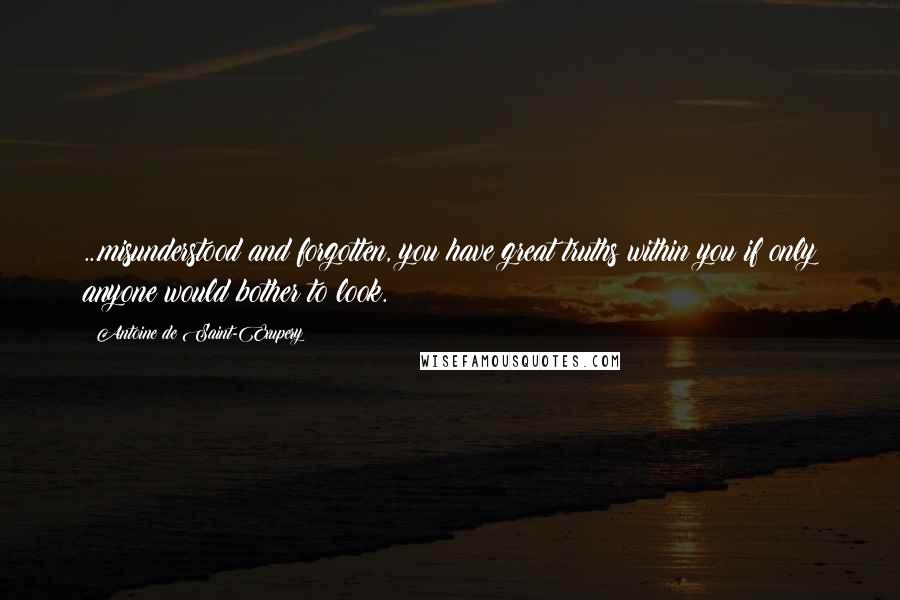 Antoine De Saint-Exupery Quotes: ...misunderstood and forgotten, you have great truths within you if only anyone would bother to look.