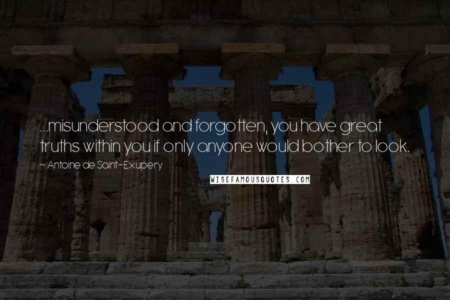 Antoine De Saint-Exupery Quotes: ...misunderstood and forgotten, you have great truths within you if only anyone would bother to look.