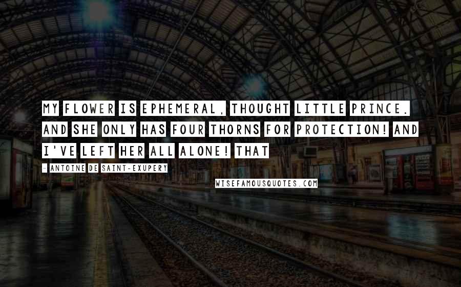 Antoine De Saint-Exupery Quotes: My flower is ephemeral, thought little prince. And she only has four thorns for protection! And I've left her all alone! That