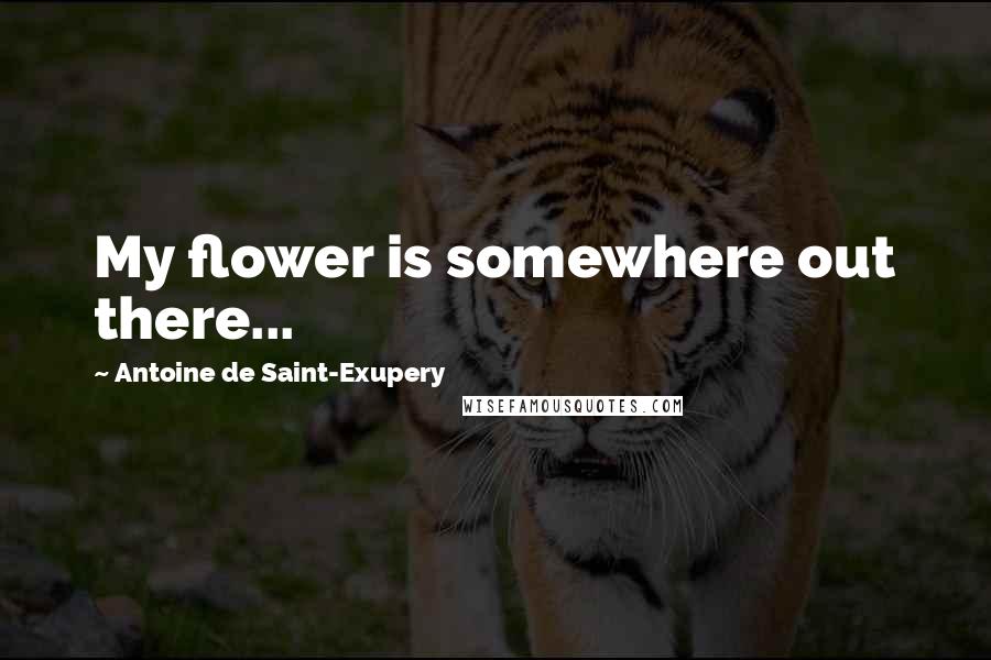 Antoine De Saint-Exupery Quotes: My flower is somewhere out there...