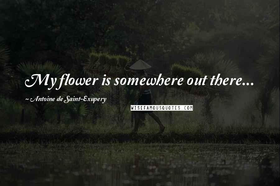 Antoine De Saint-Exupery Quotes: My flower is somewhere out there...