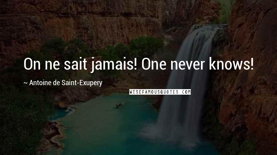 Antoine De Saint-Exupery Quotes: On ne sait jamais! One never knows!