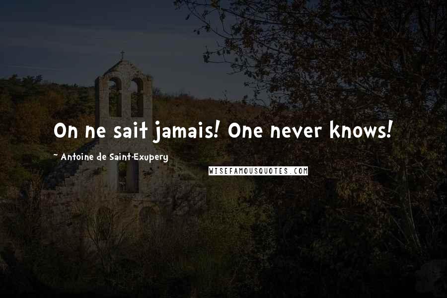 Antoine De Saint-Exupery Quotes: On ne sait jamais! One never knows!