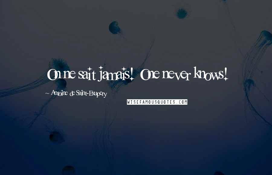 Antoine De Saint-Exupery Quotes: On ne sait jamais! One never knows!