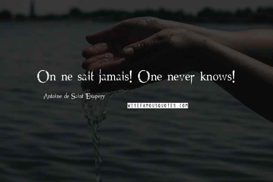 Antoine De Saint-Exupery Quotes: On ne sait jamais! One never knows!