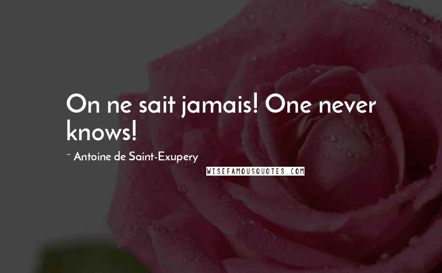 Antoine De Saint-Exupery Quotes: On ne sait jamais! One never knows!