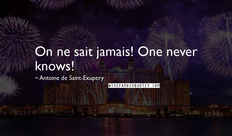 Antoine De Saint-Exupery Quotes: On ne sait jamais! One never knows!