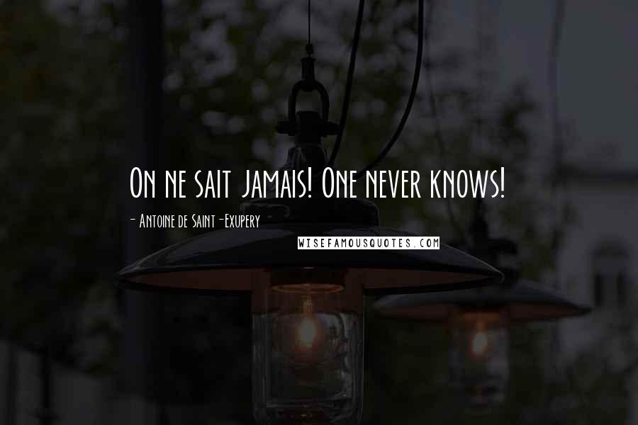 Antoine De Saint-Exupery Quotes: On ne sait jamais! One never knows!