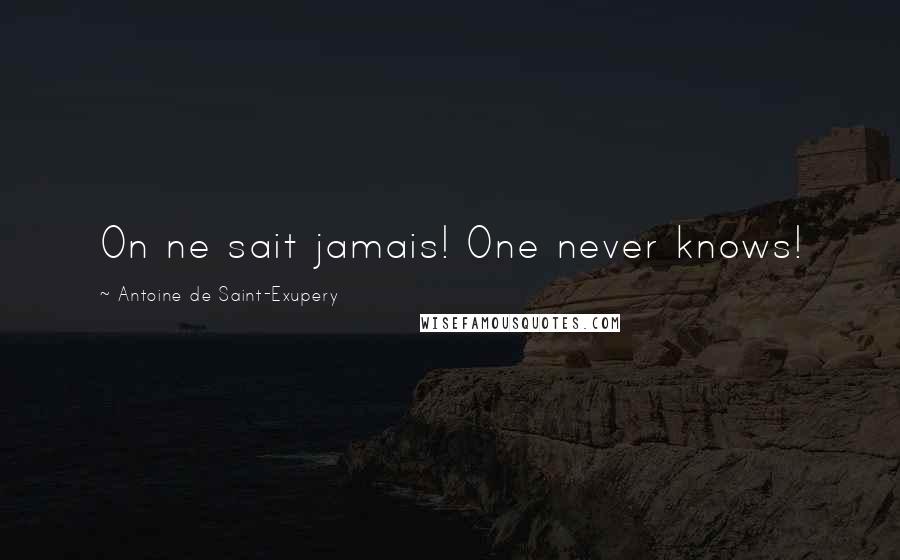 Antoine De Saint-Exupery Quotes: On ne sait jamais! One never knows!