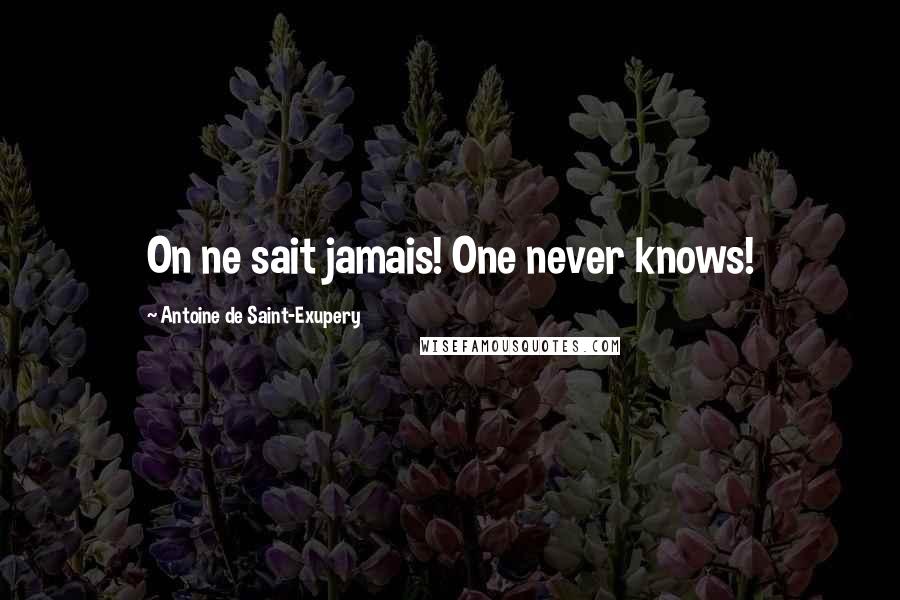 Antoine De Saint-Exupery Quotes: On ne sait jamais! One never knows!