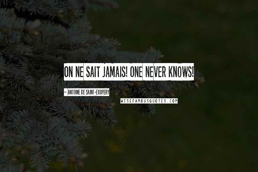 Antoine De Saint-Exupery Quotes: On ne sait jamais! One never knows!