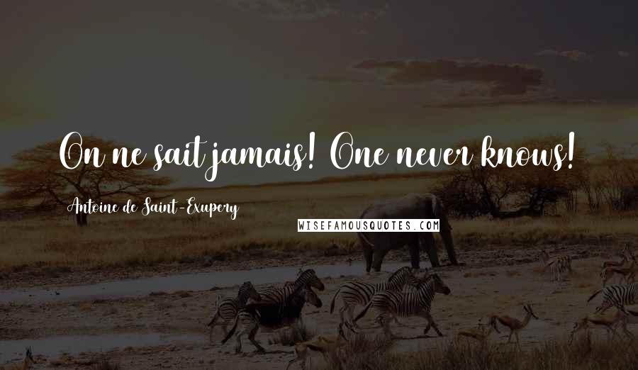 Antoine De Saint-Exupery Quotes: On ne sait jamais! One never knows!