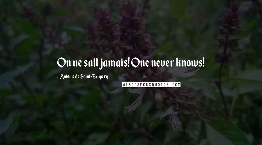 Antoine De Saint-Exupery Quotes: On ne sait jamais! One never knows!