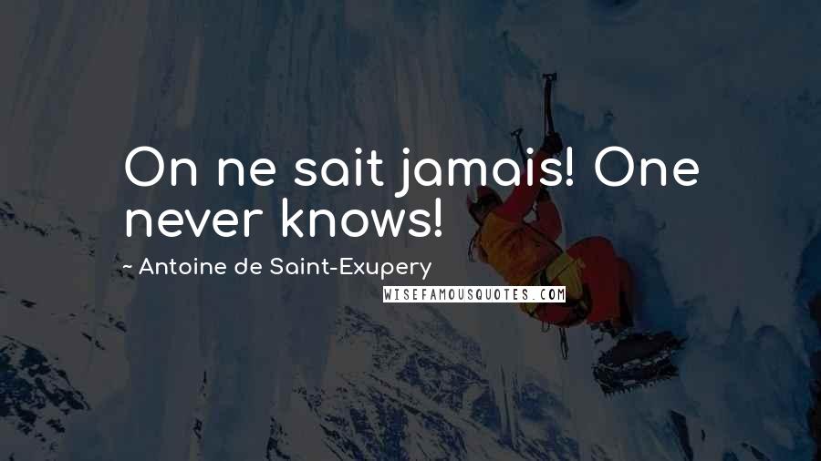 Antoine De Saint-Exupery Quotes: On ne sait jamais! One never knows!