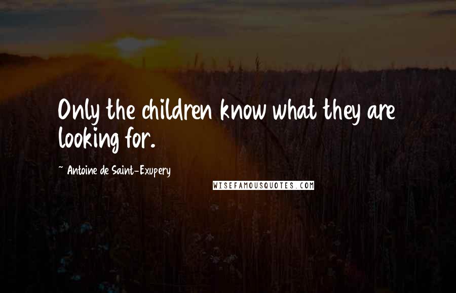 Antoine De Saint-Exupery Quotes: Only the children know what they are looking for.