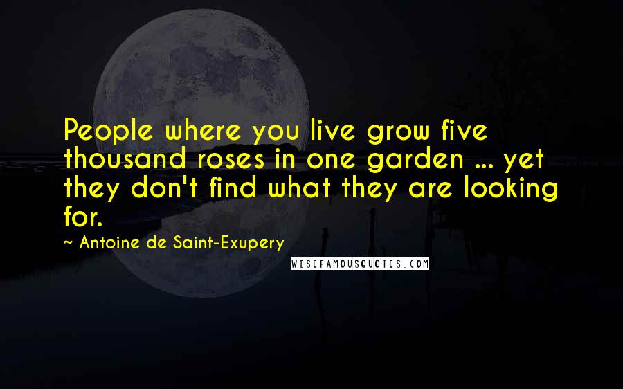 Antoine De Saint-Exupery Quotes: People where you live grow five thousand roses in one garden ... yet they don't find what they are looking for.