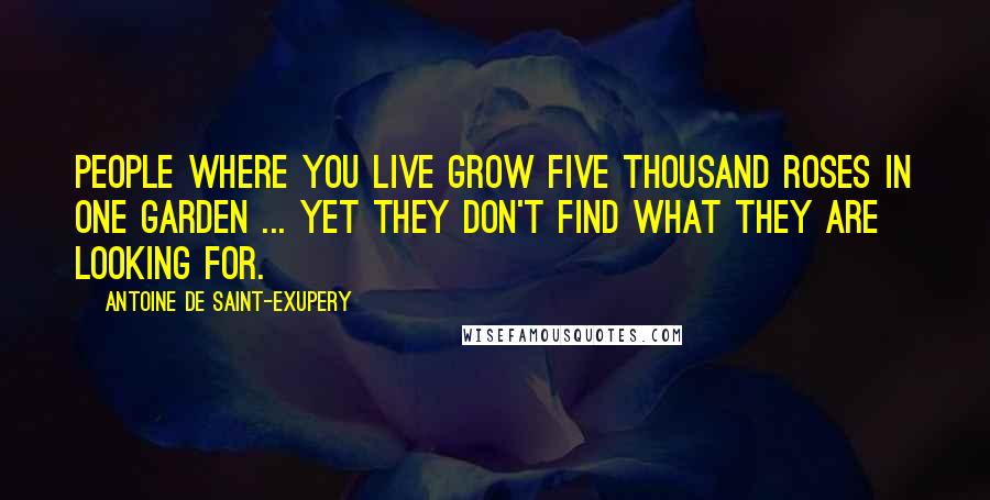 Antoine De Saint-Exupery Quotes: People where you live grow five thousand roses in one garden ... yet they don't find what they are looking for.