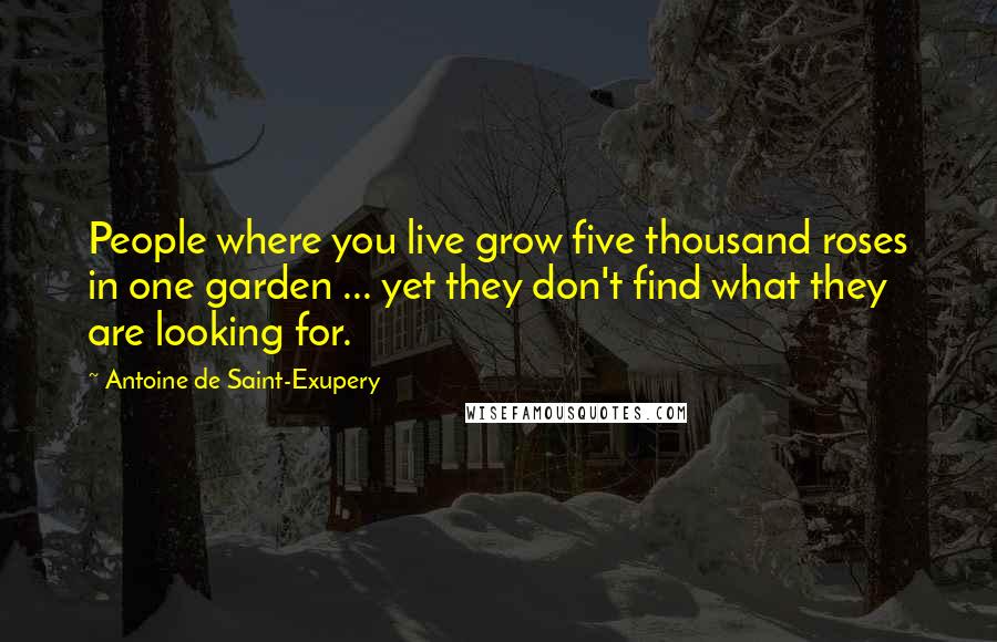 Antoine De Saint-Exupery Quotes: People where you live grow five thousand roses in one garden ... yet they don't find what they are looking for.