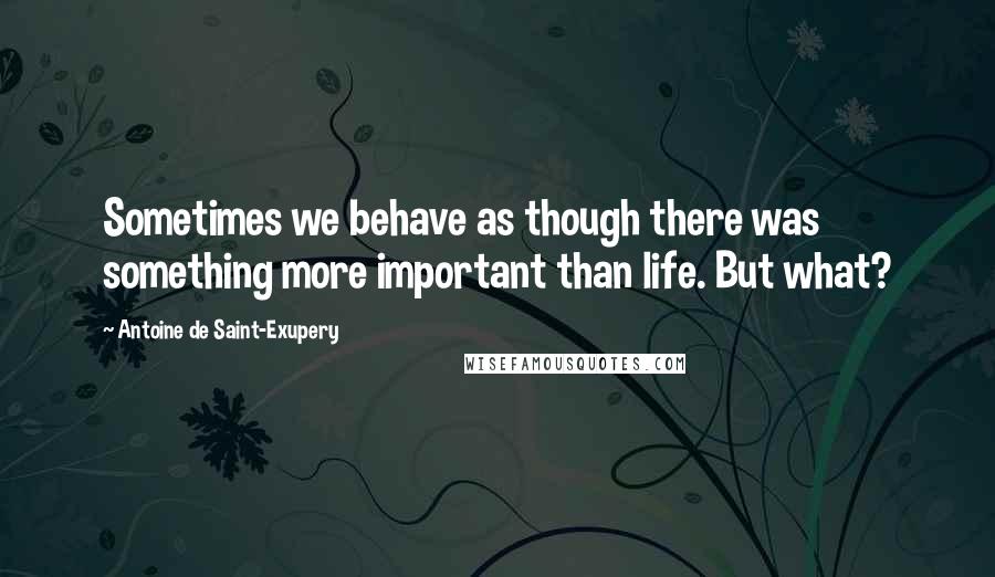 Antoine De Saint-Exupery Quotes: Sometimes we behave as though there was something more important than life. But what?