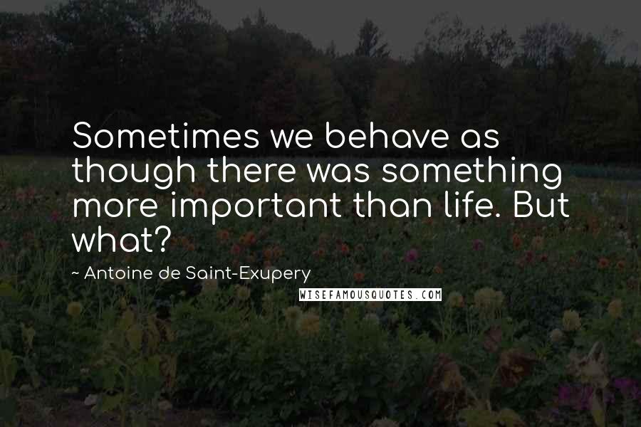 Antoine De Saint-Exupery Quotes: Sometimes we behave as though there was something more important than life. But what?