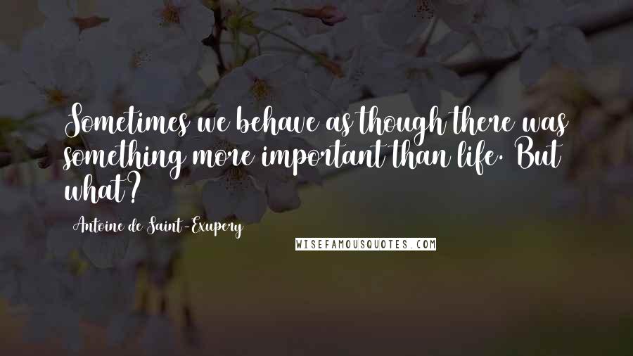 Antoine De Saint-Exupery Quotes: Sometimes we behave as though there was something more important than life. But what?