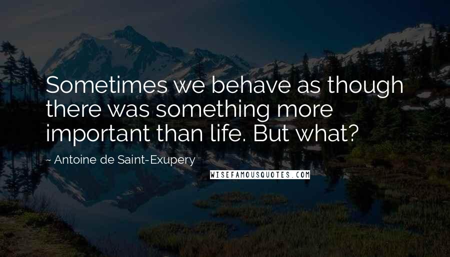 Antoine De Saint-Exupery Quotes: Sometimes we behave as though there was something more important than life. But what?