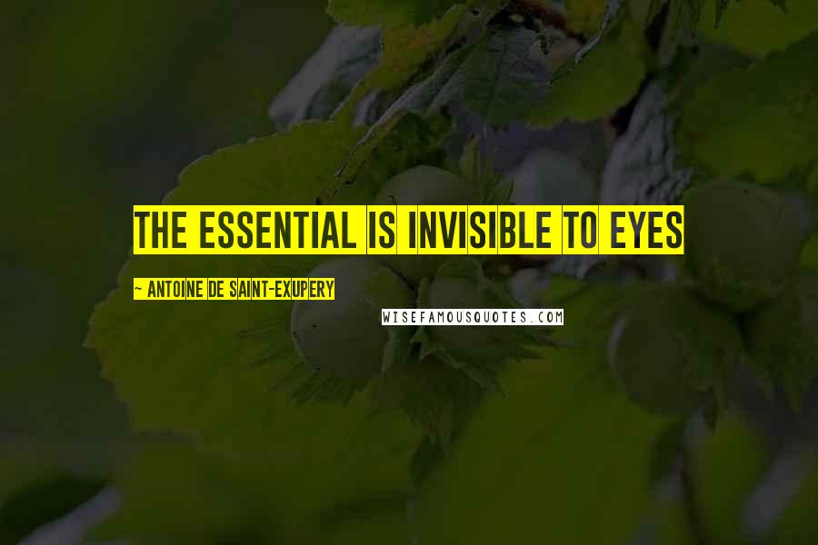 Antoine De Saint-Exupery Quotes: The essential is invisible to eyes