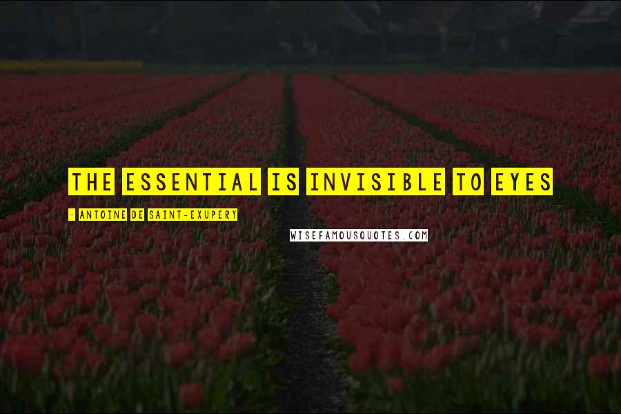 Antoine De Saint-Exupery Quotes: The essential is invisible to eyes