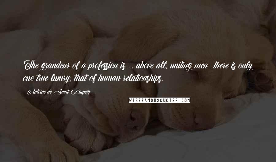 Antoine De Saint-Exupery Quotes: The grandeur of a profession is ... above all, uniting men: there is only one true luxury, that of human relationships.