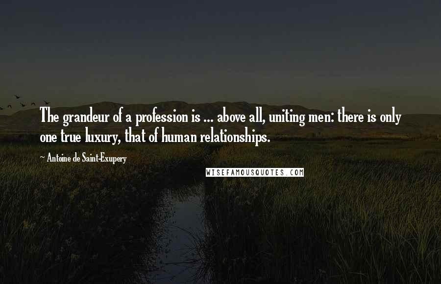 Antoine De Saint-Exupery Quotes: The grandeur of a profession is ... above all, uniting men: there is only one true luxury, that of human relationships.