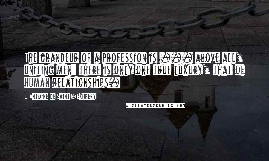 Antoine De Saint-Exupery Quotes: The grandeur of a profession is ... above all, uniting men: there is only one true luxury, that of human relationships.