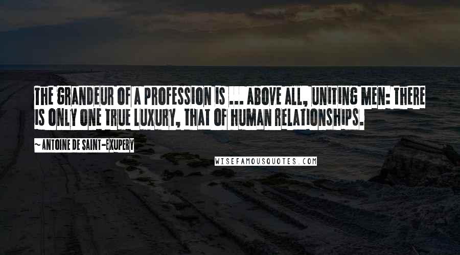 Antoine De Saint-Exupery Quotes: The grandeur of a profession is ... above all, uniting men: there is only one true luxury, that of human relationships.