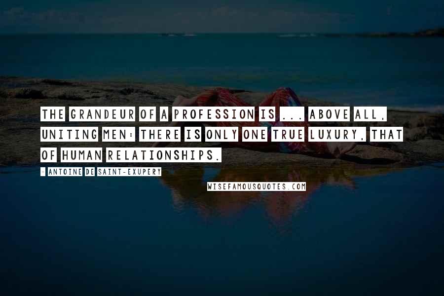 Antoine De Saint-Exupery Quotes: The grandeur of a profession is ... above all, uniting men: there is only one true luxury, that of human relationships.