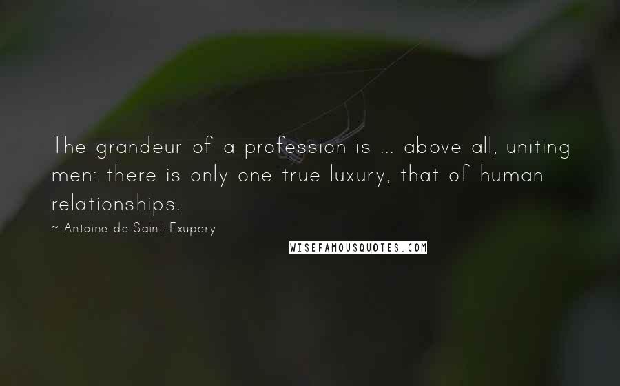 Antoine De Saint-Exupery Quotes: The grandeur of a profession is ... above all, uniting men: there is only one true luxury, that of human relationships.