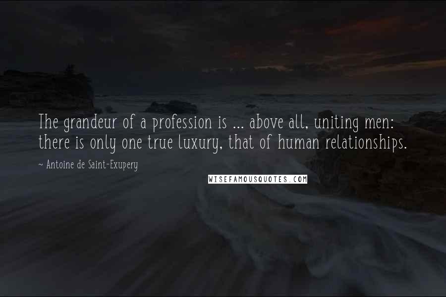 Antoine De Saint-Exupery Quotes: The grandeur of a profession is ... above all, uniting men: there is only one true luxury, that of human relationships.