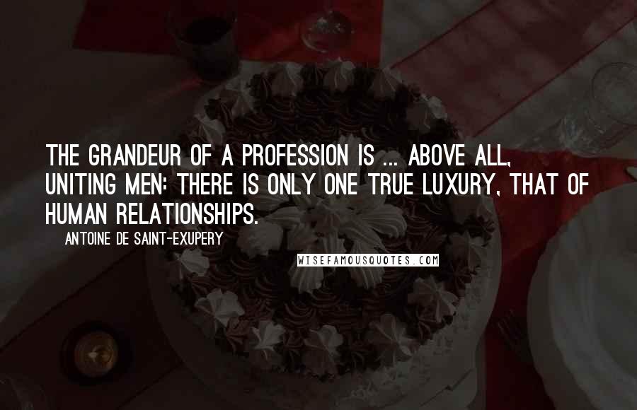 Antoine De Saint-Exupery Quotes: The grandeur of a profession is ... above all, uniting men: there is only one true luxury, that of human relationships.